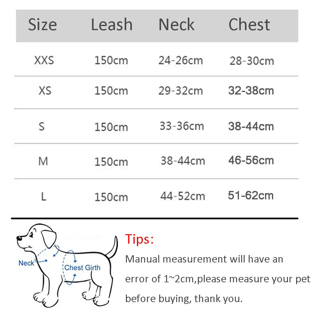 Atmungsaktives Hundegeschirr mit Leine für kleine Hunde – Polyester, XXS-L