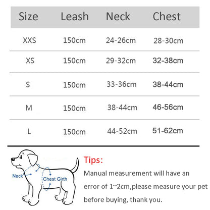 Atmungsaktives Hundegeschirr mit Leine für kleine Hunde – Polyester, XXS-L