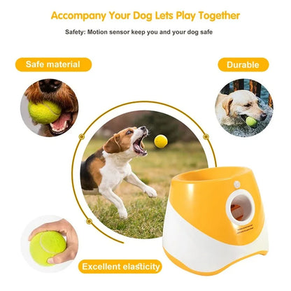 Automatischer Ballwerfer für Hunde – 6 Bälle, USB-aufladbar, 5 cm