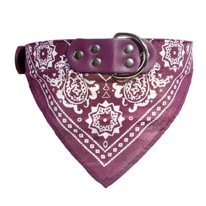 STYLPET PU-Kragen mit Schal