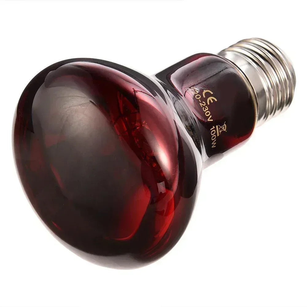220-V-Infrarot-Heizlampe