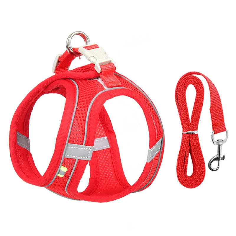 Atmungsaktives Hundegeschirr mit Leine für kleine Hunde – Polyester, XXS-L