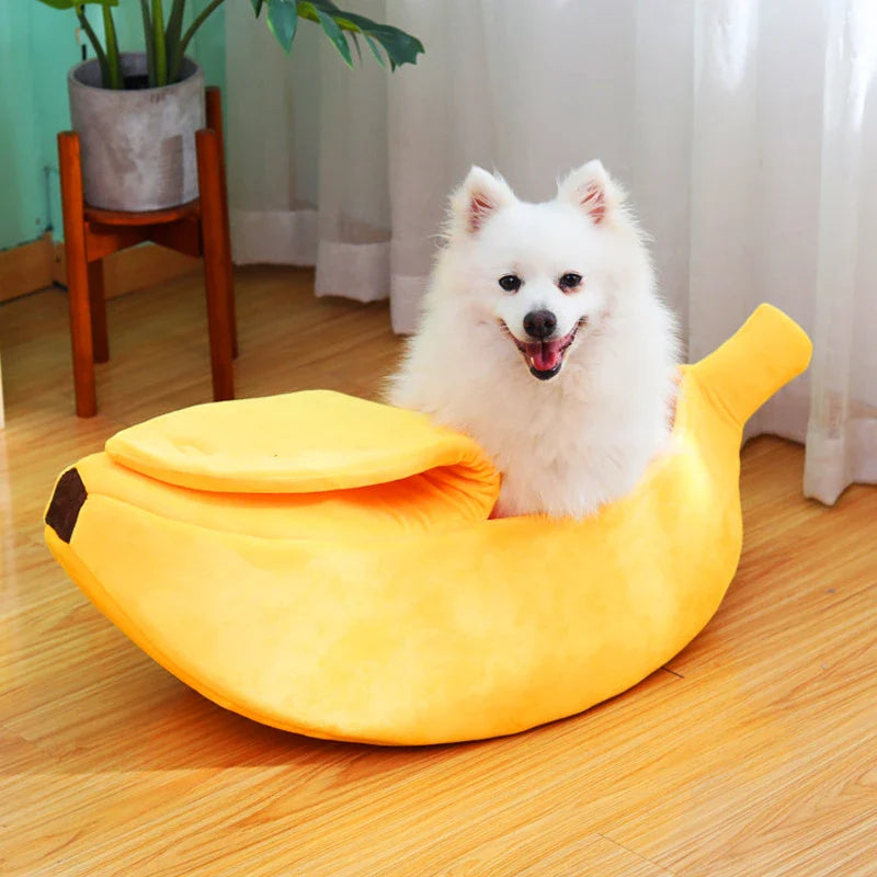 Plüsch-Katzenmann-Bananenvorm – Warmes Zuhause für Kat von Kleine Hunde