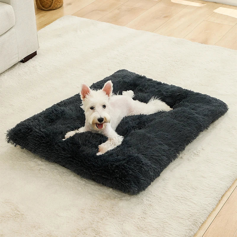 Paw Haven Luxus-Plüsch-Hunde- und Katzenbett