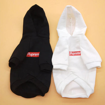 PawElite Luxus-Hundehoodie
