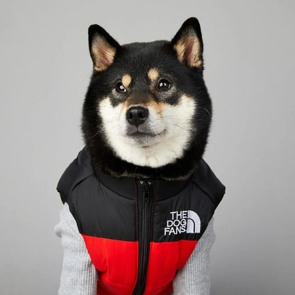 Der luxuriöse Hundeanzug für Hundefans