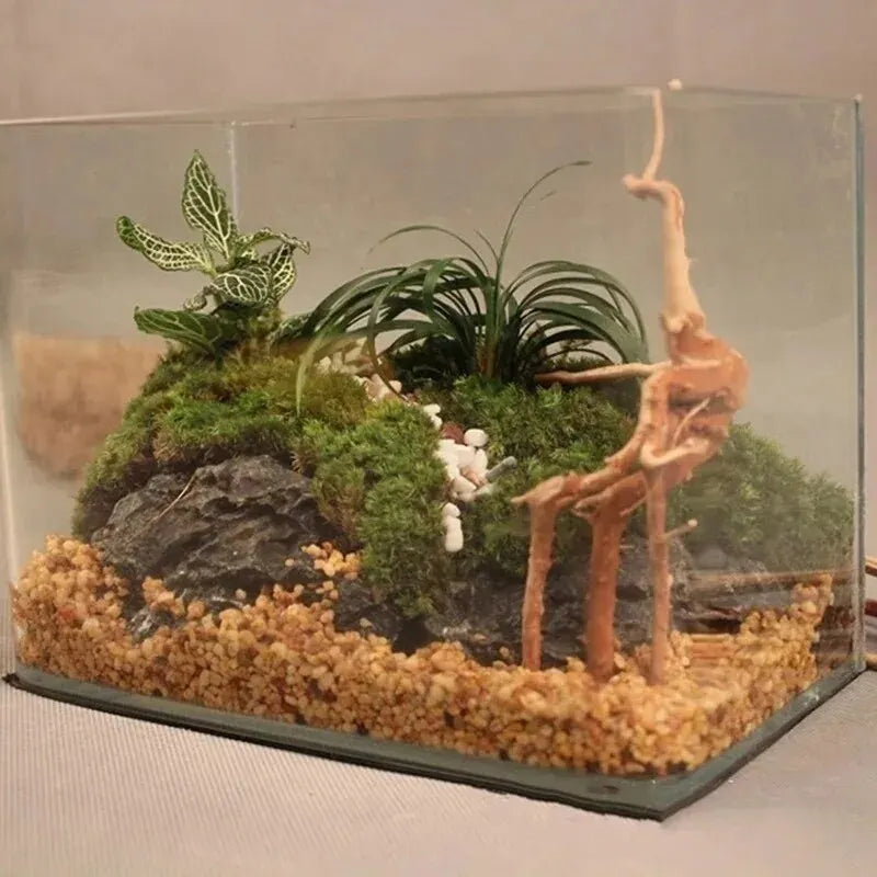 Aquariumdekoration