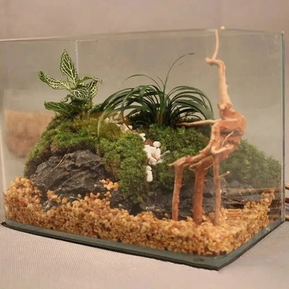 Aquariumdekoration