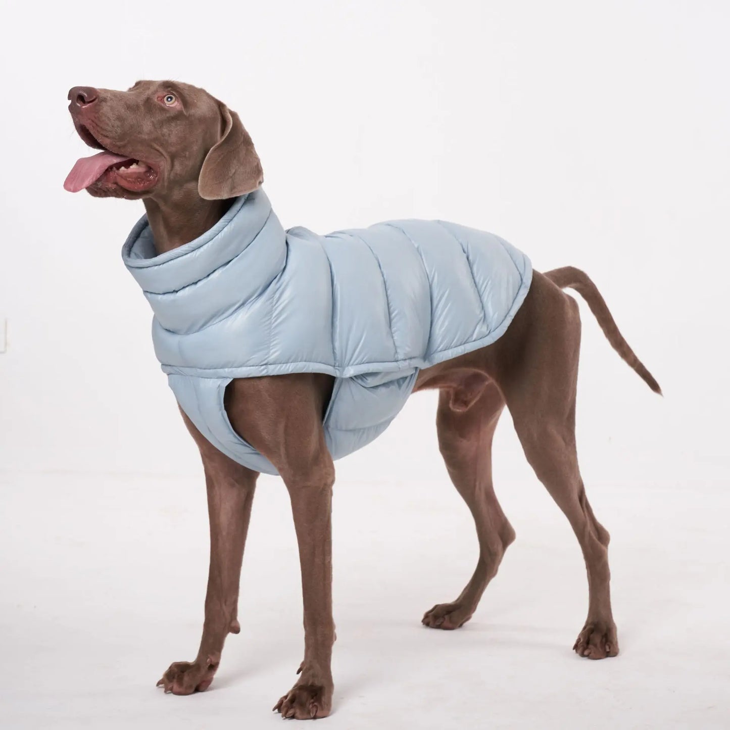 Premium Winter Winddichte Hundejacke