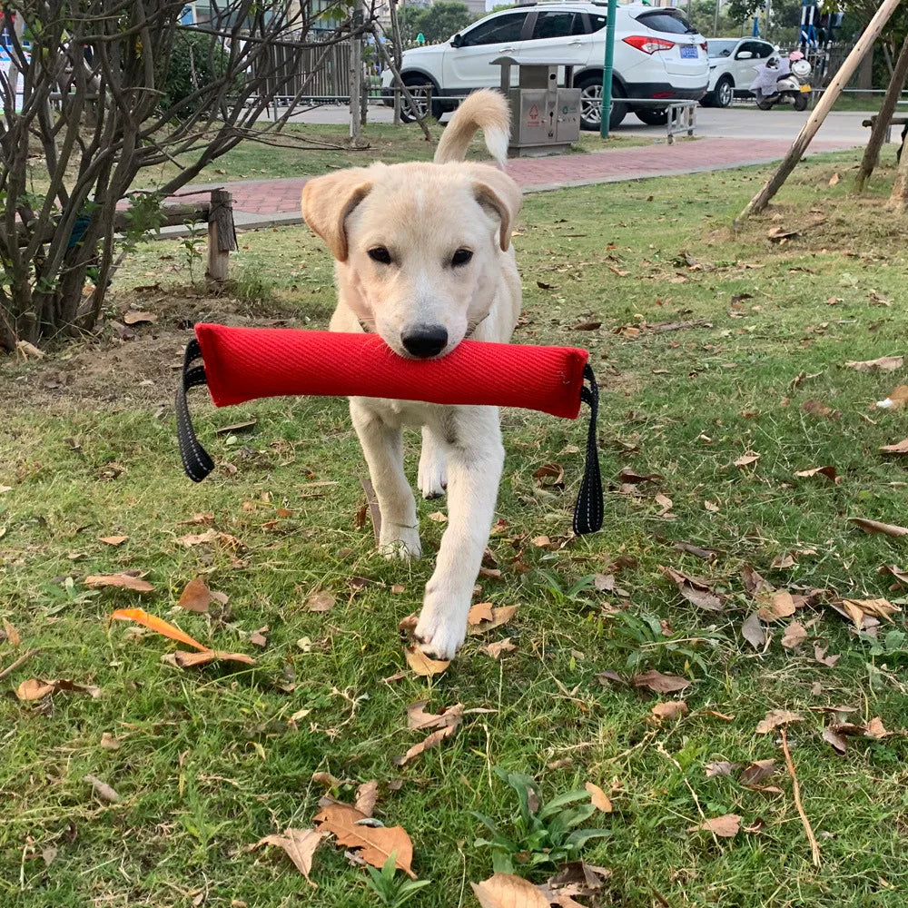 PowerPlay Hundebeißstock