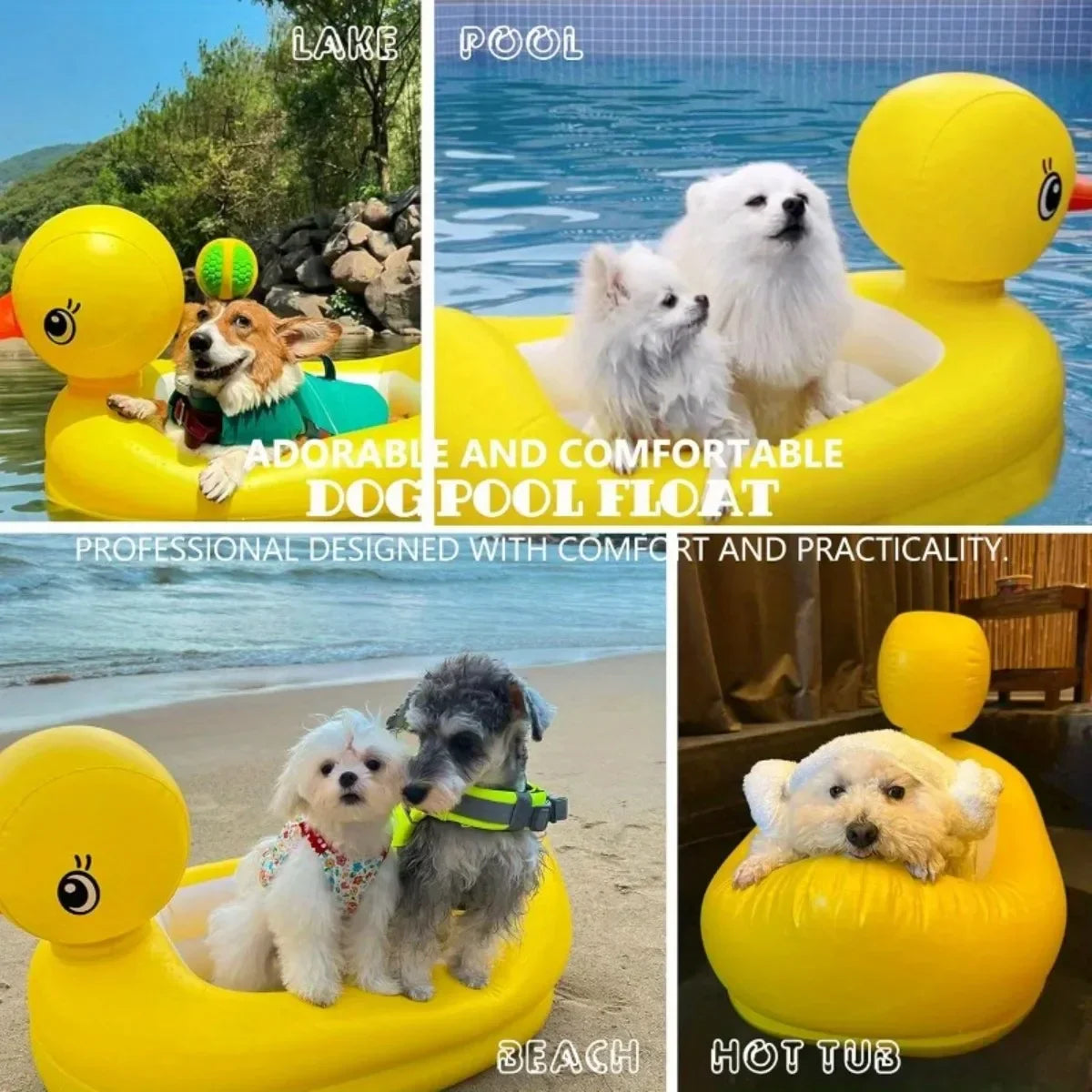 SwimBuddy 2-in-1 Hundepool-Schwimmhilfe