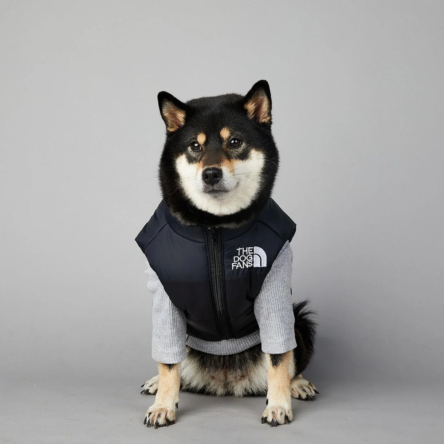 Der luxuriöse Hundeanzug für Hundefans