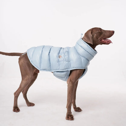 Premium Winter Winddichte Hundejacke