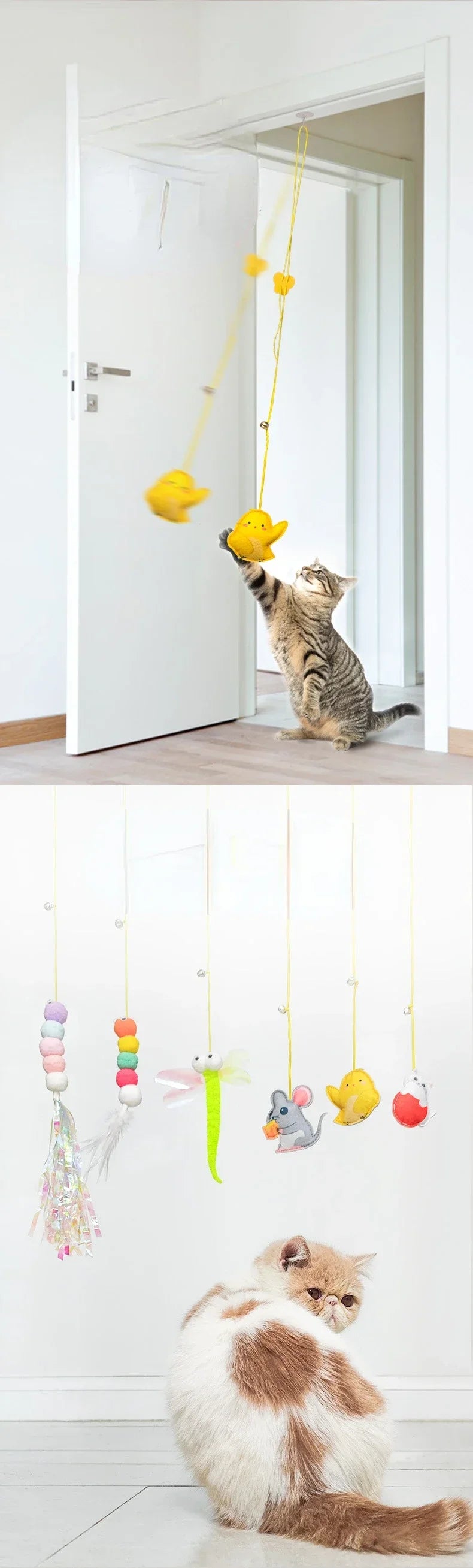 HangPurr interaktives Katzenspielzeug