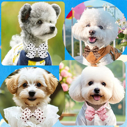StylePaws ChicMix – 50-teiliges Hunde & Katzen Fliegen-Set für Grooming & Styling