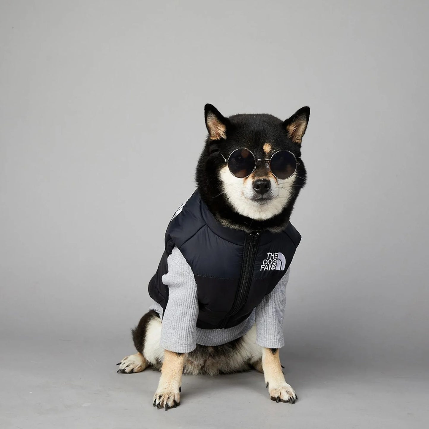 Der luxuriöse Hundeanzug für Hundefans
