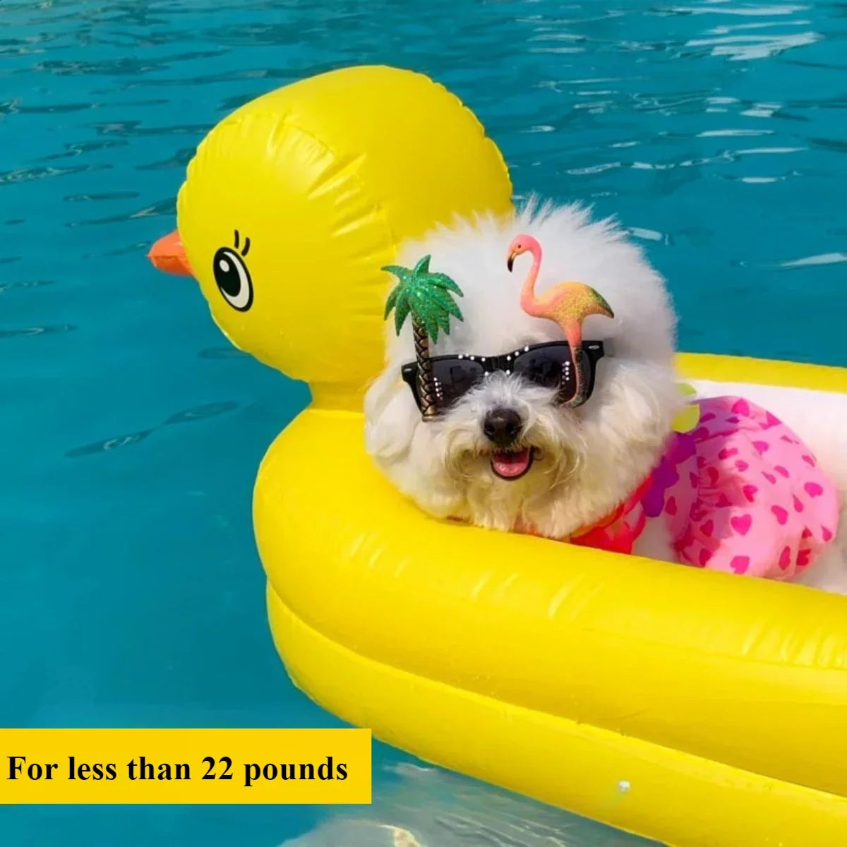 SwimBuddy 2-in-1 Hundepool-Schwimmhilfe