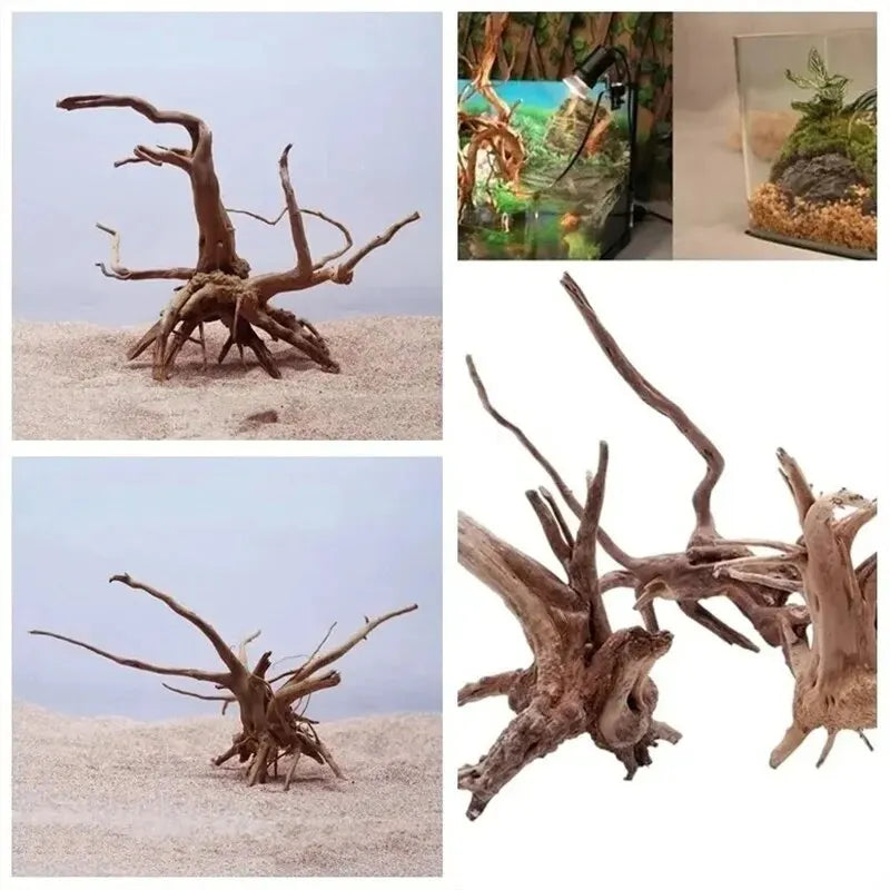 Aquariumdekoration