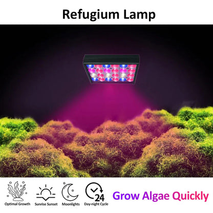 PopBloom Refugium Wachstumslampe