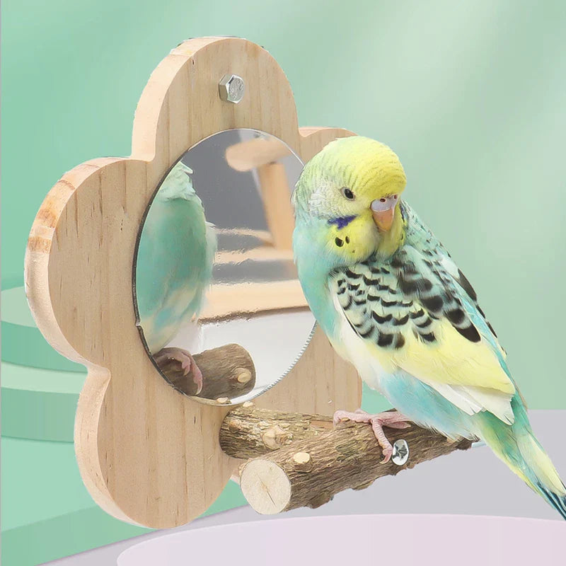 Vogelsitzstange aus Holz mit Spiegel – Natürliche Sitzplattform Größe S/M
