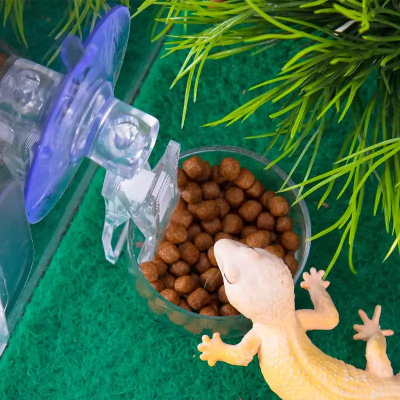 ClimbFeast Reptile Saugnapf-Futter