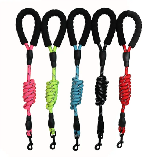SafeWalk Reflektierende Nylon Hundeleine