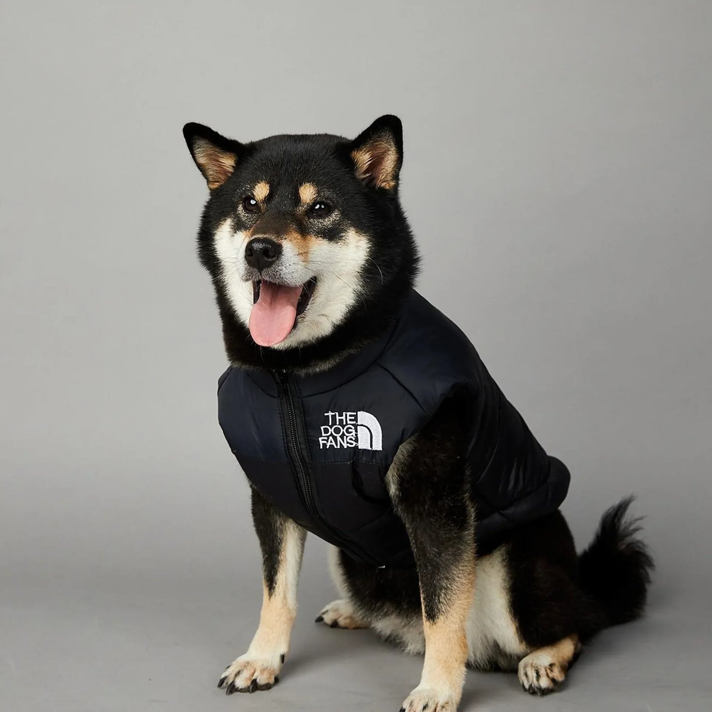 Der luxuriöse Hundeanzug für Hundefans