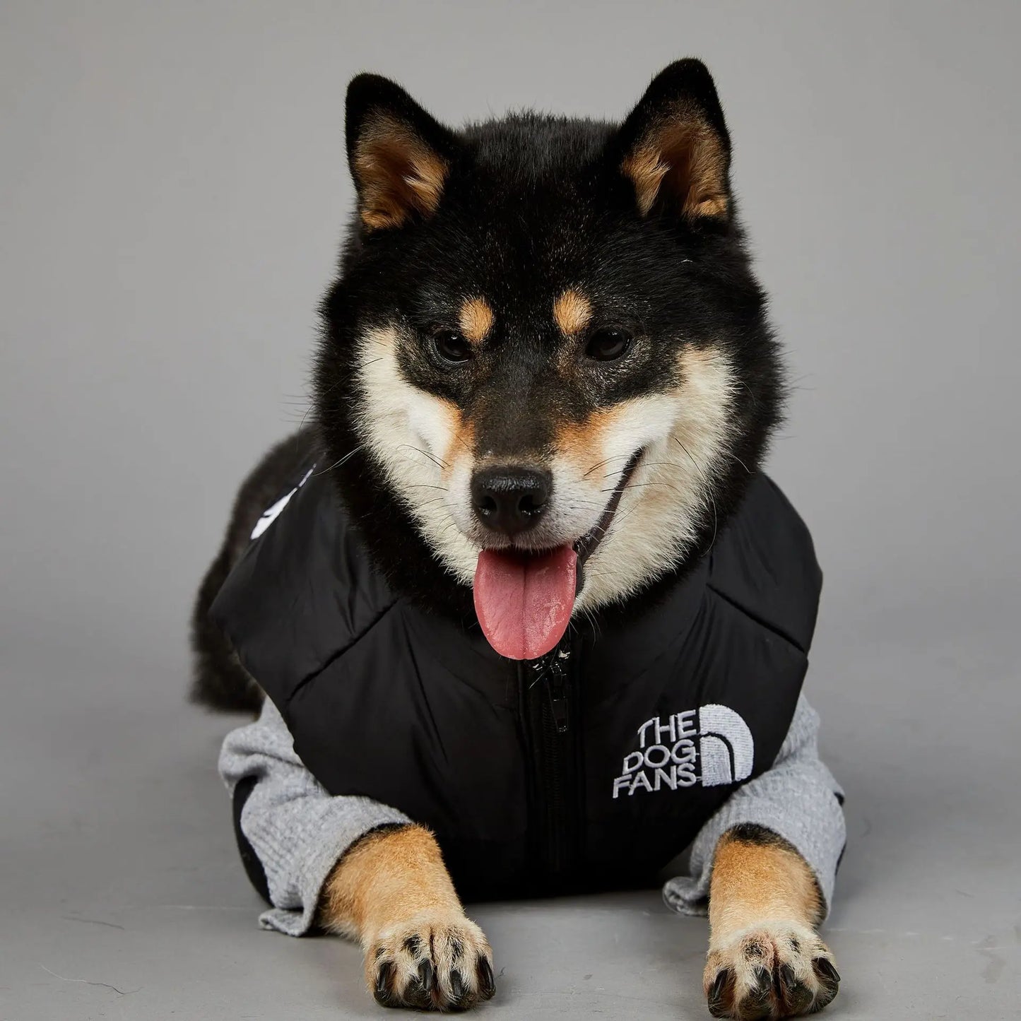 Der luxuriöse Hundeanzug für Hundefans