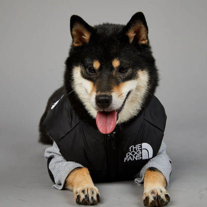 Der luxuriöse Hundeanzug für Hundefans