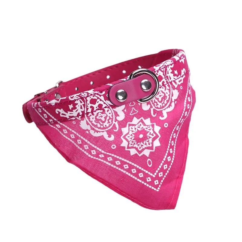 STYLPET PU-Kragen mit Schal