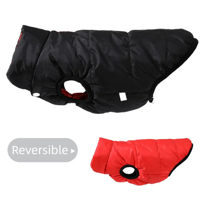 ThermoPaws DuoShield – Wendbare Winterjacke mit Leinenöffnung für Hunde & Katzen