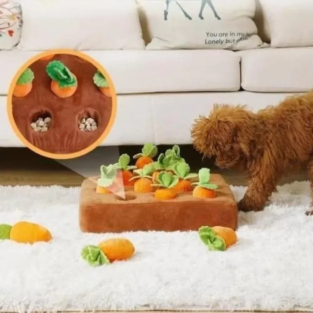 Karotten-Schnüffelmatte für Hunde – Interaktive Spielmatte mit 12 versteckten Karotten