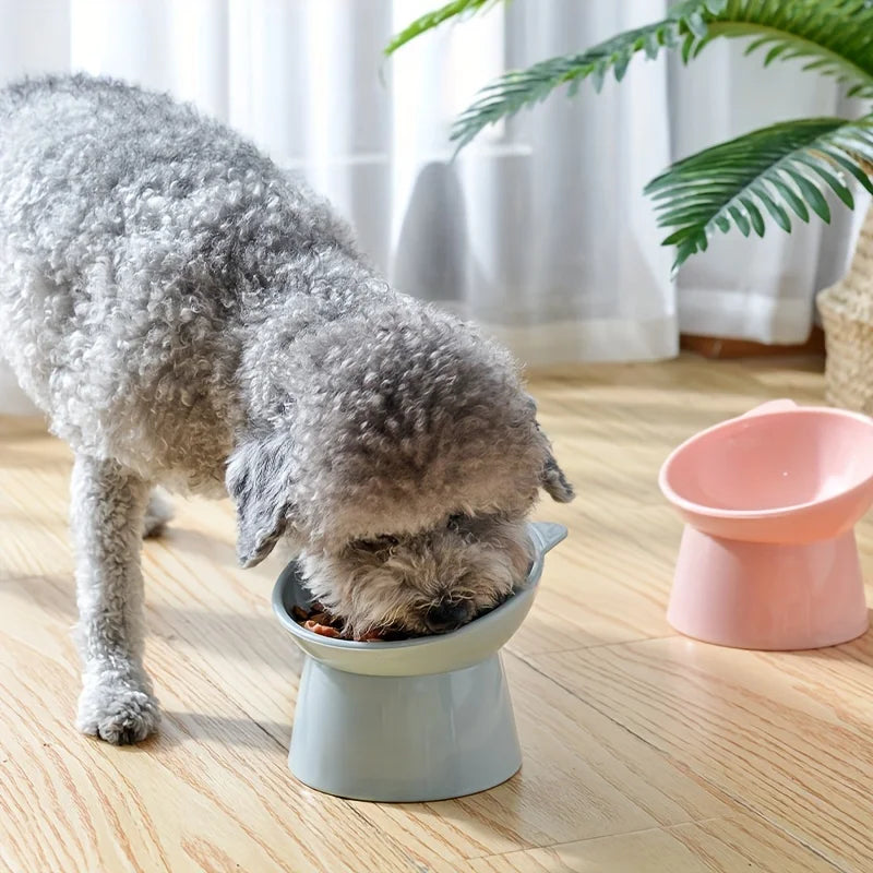 Erhöhter Katzennapf – Anti-Erbrechen, ergonomisch, Kunststoff