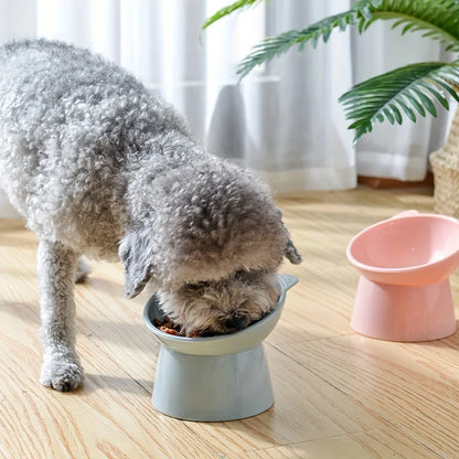Erhöhter Katzennapf – Anti-Erbrechen, ergonomisch, Kunststoff