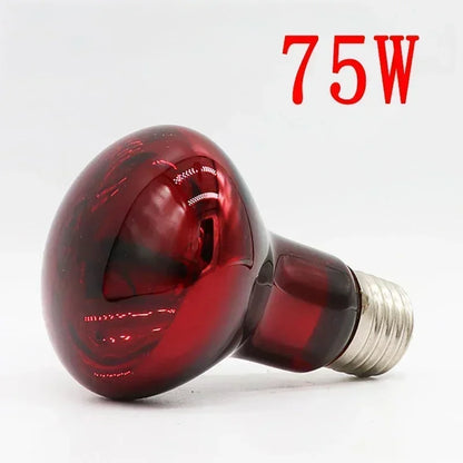220-V-Infrarot-Heizlampe