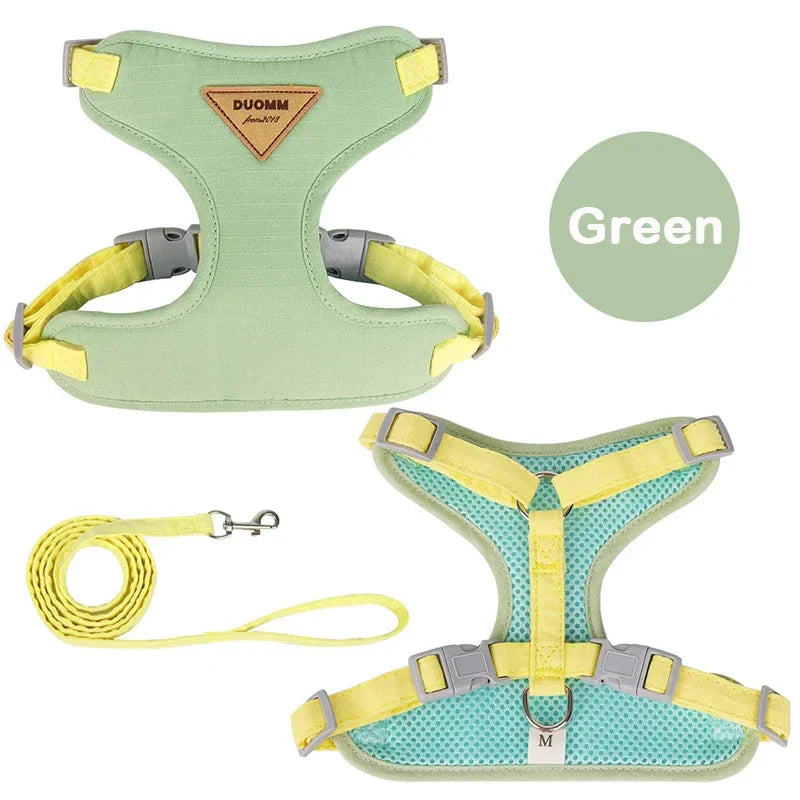 Welpengeschirr und Leine Set – Atmungsaktive, verstellbare Weste aus Nylon, Größen XS-L