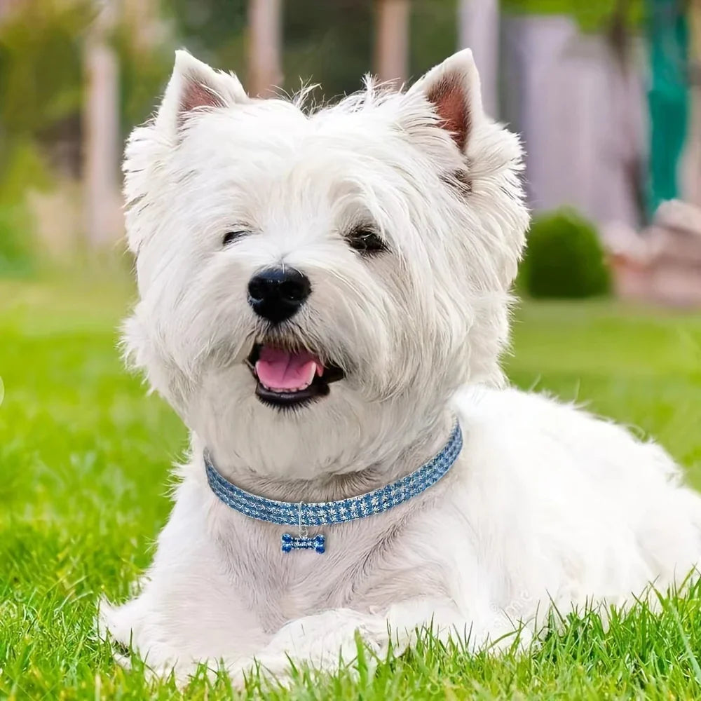 GlamBone Luxus-Hunde- und Katzenhalsband