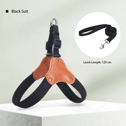 PawCommand Premium Outdoor Geschirr-Set