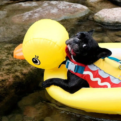 SwimBuddy 2-in-1 Hundepool-Schwimmhilfe