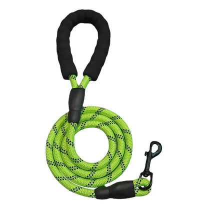 SafeWalk Reflektierende Nylon Hundeleine