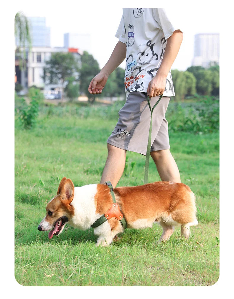 PawCommand Premium Outdoor Geschirr-Set