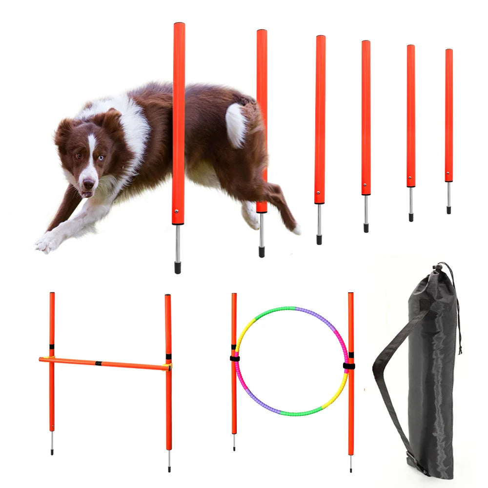 AgiliPro Hundesport-Trainingsset