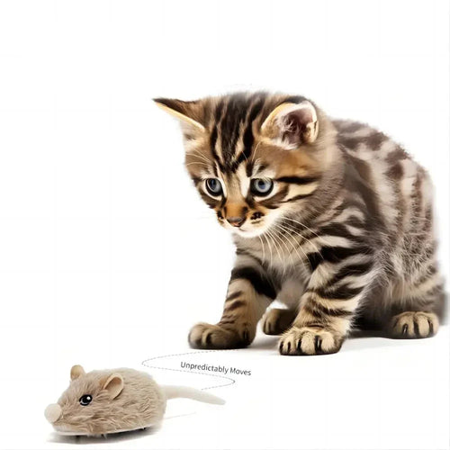 Wiederaufladbare, bewegliche Katzenmaus mit Schwanz und Geräuschen – 3 Modi