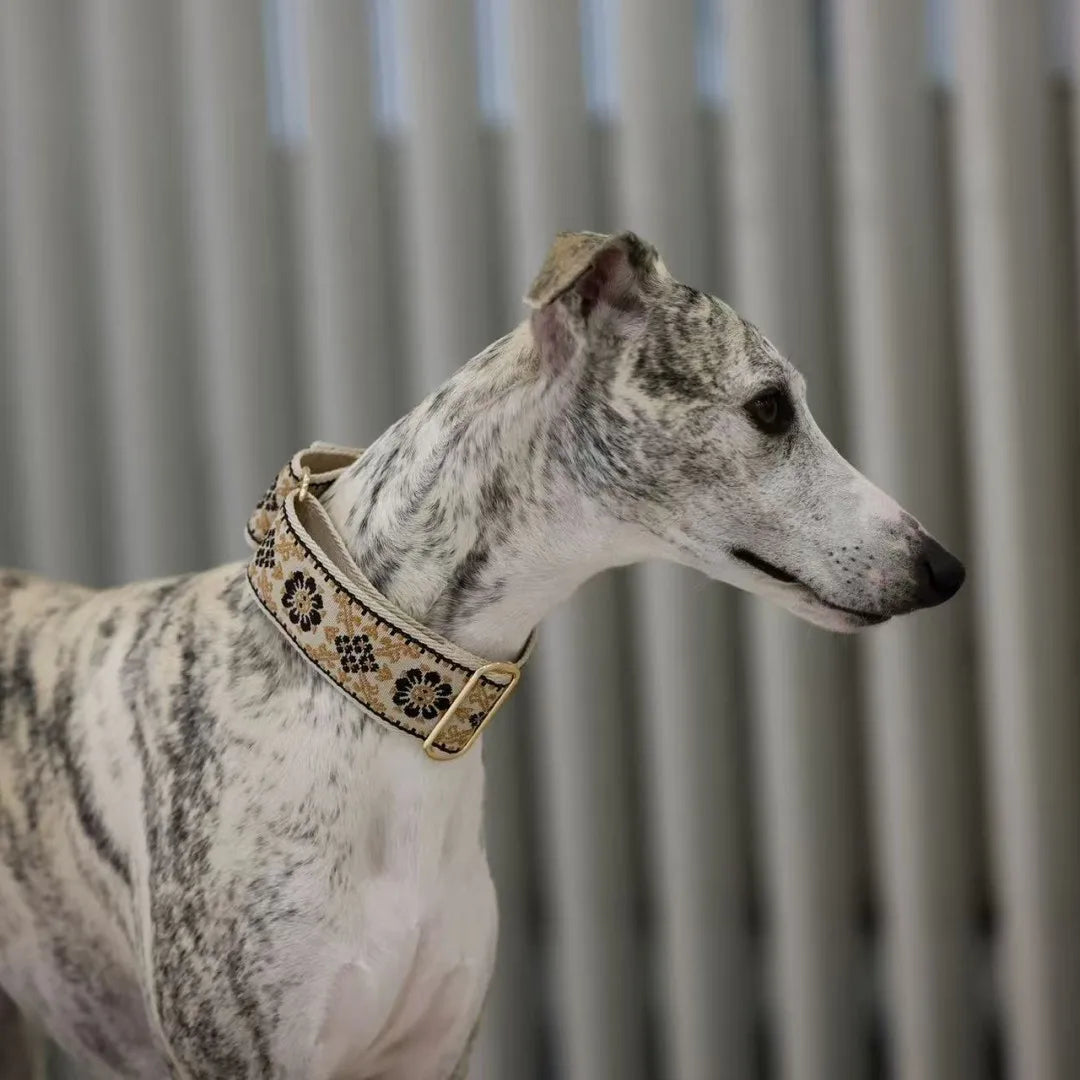 SwiftGent Martingale Hundehalsband
