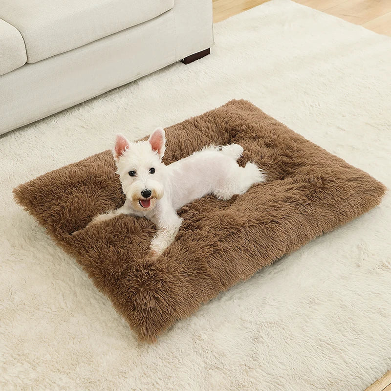 Paw Haven Luxus-Plüsch-Hunde- und Katzenbett