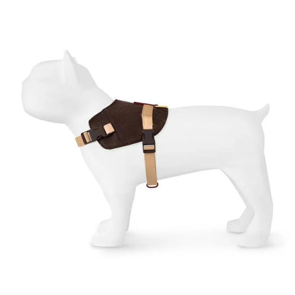 UrbanSafe Pets – Trendiges Brustgeschirr + Leine für Hunde & Katzen