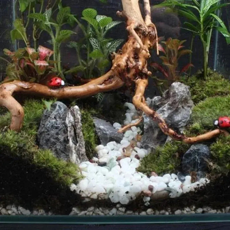 Aquariumdekoration