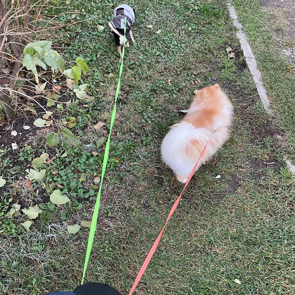 DuoWalk 3M Automatische Hundeleine mit Taschenlampe und Kotbeutelhalter