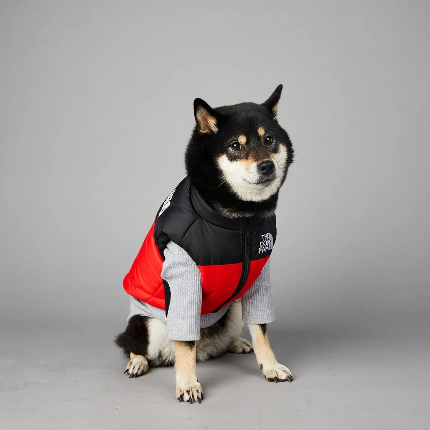 Der luxuriöse Hundeanzug für Hundefans