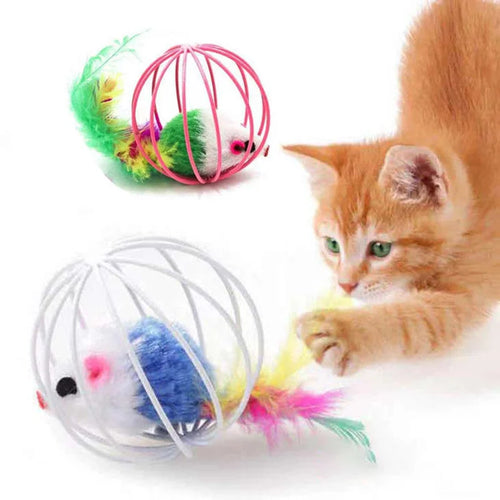 Katzenspielzeugkäfig mit Maus – Buntes Plastik